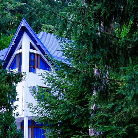 Hotel Parc Geoagiu Băi Exteriér fotografie