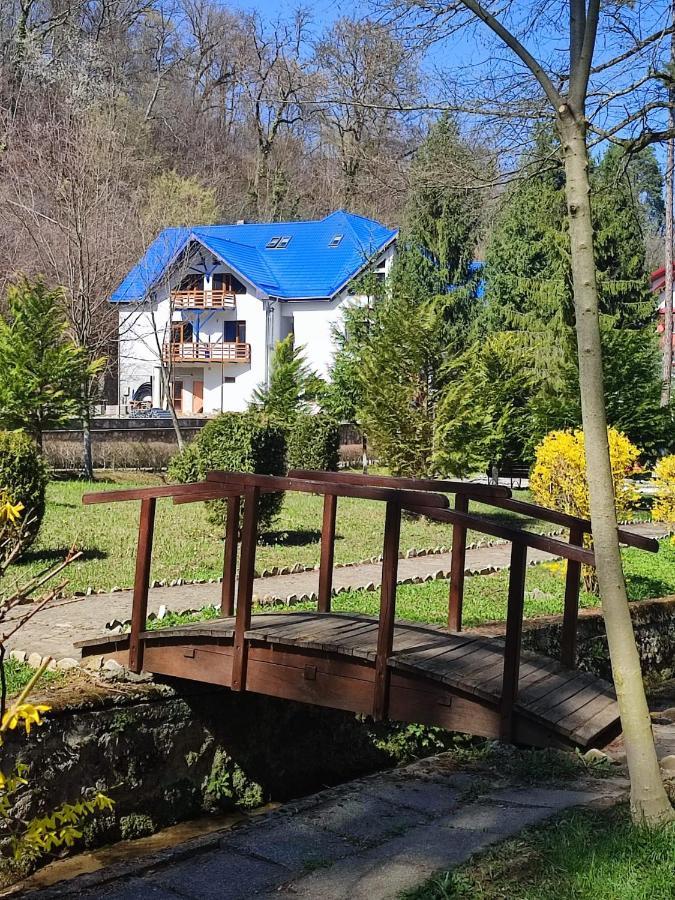Hotel Parc Geoagiu Băi Exteriér fotografie