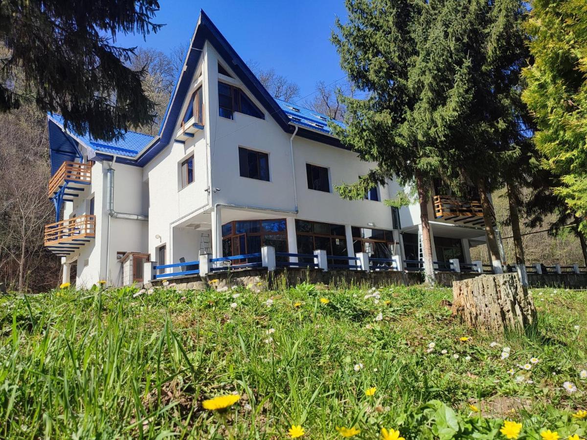 Hotel Parc Geoagiu Băi Exteriér fotografie