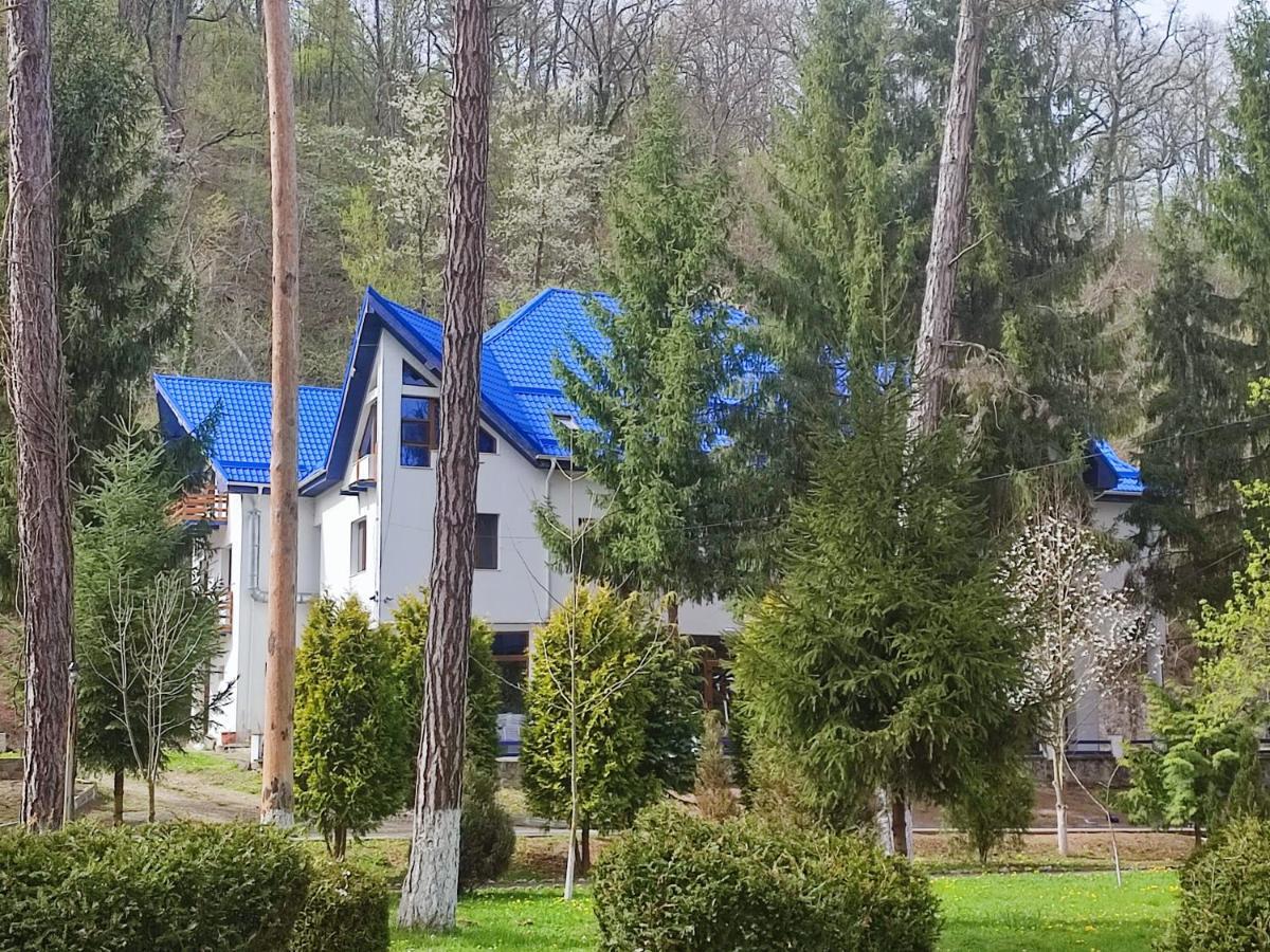 Hotel Parc Geoagiu Băi Exteriér fotografie