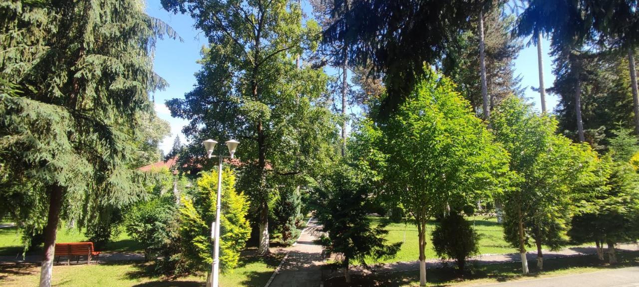 Hotel Parc Geoagiu Băi Exteriér fotografie