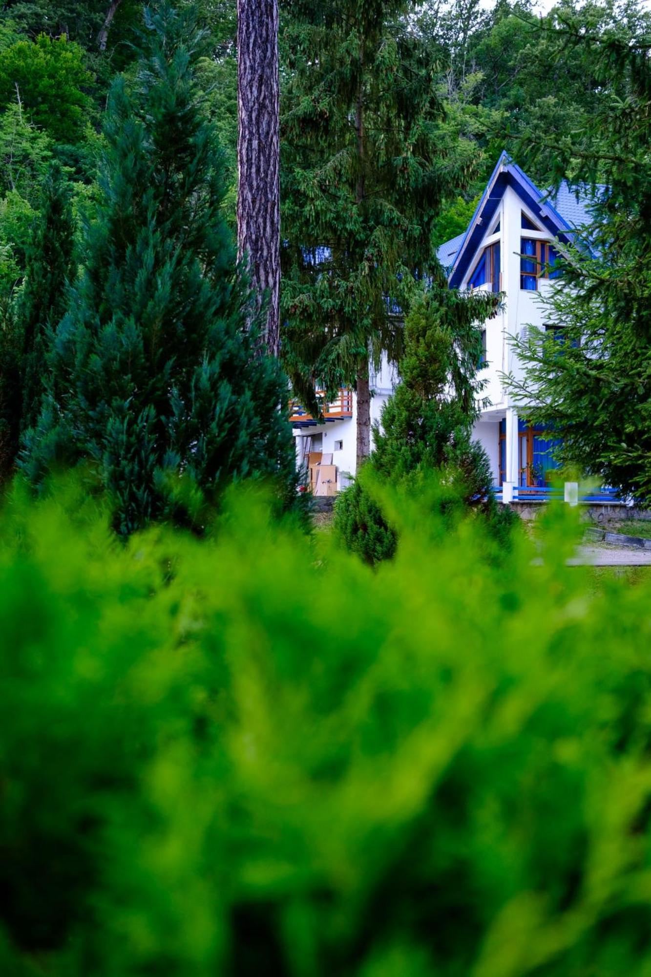 Hotel Parc Geoagiu Băi Exteriér fotografie